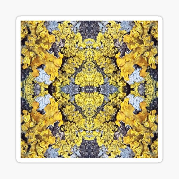 Item preview, Yellow Lichen designed and sold by OrangeEden.
