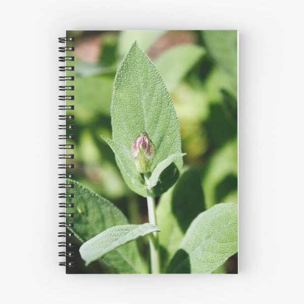 Item preview, Sage Bud designed and sold by Samantha Bailey.