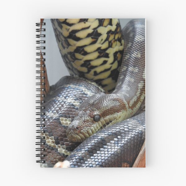 Item preview, Centralian Carpet Python designed and sold by kirstybush.