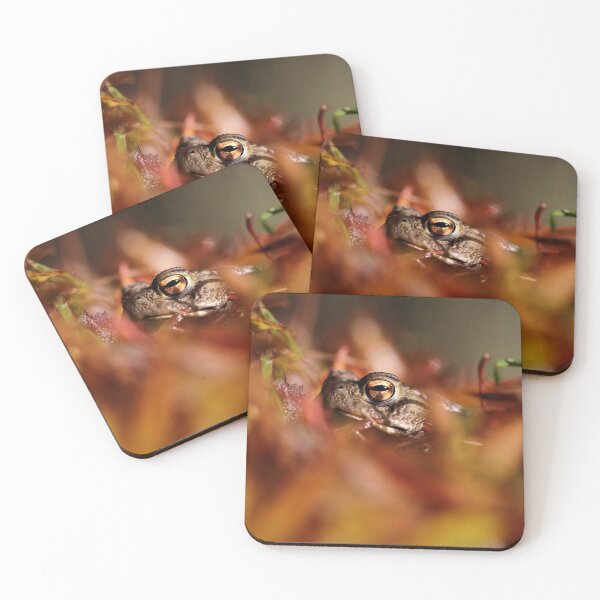 Item preview, The Common Toad. designed and sold by Christian Moss.