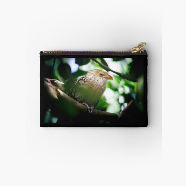 Item preview, The guira cantara designed and sold by Gaël FONTAINE.