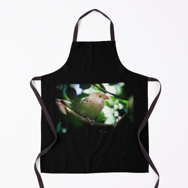 Item preview, The guira cantara designed and sold by Gaël FONTAINE.
