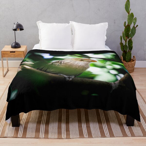Item preview, The guira cantara designed and sold by Gaël FONTAINE.
