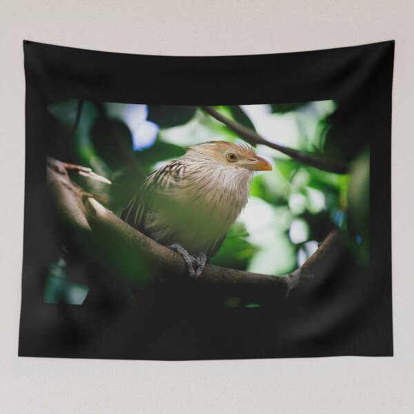 Item preview, The guira cantara designed and sold by Gaël FONTAINE.