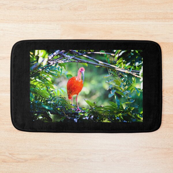 Item preview, scarlet ibis designed and sold by Gaël FONTAINE.