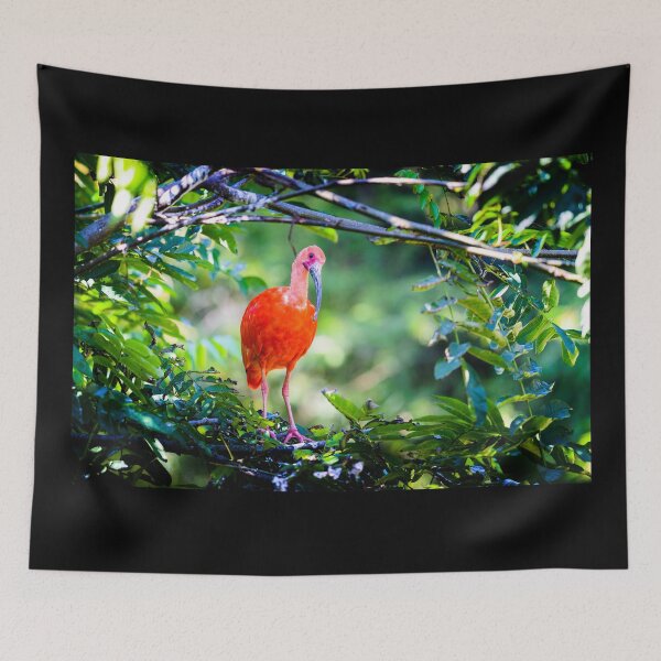 Item preview, scarlet ibis designed and sold by Gaël FONTAINE.