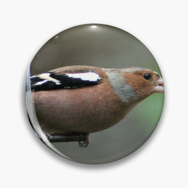 Item preview, chaffinch designed and sold by KathleenDawson.