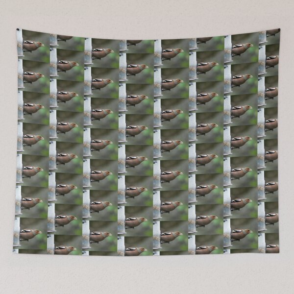 Item preview, chaffinch designed and sold by KathleenDawson.