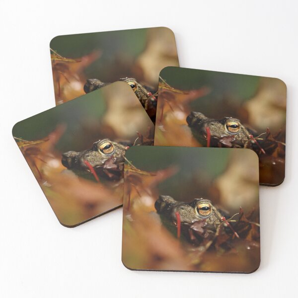 Item preview, Common Toad - Bufo bufo designed and sold by Christian Moss.