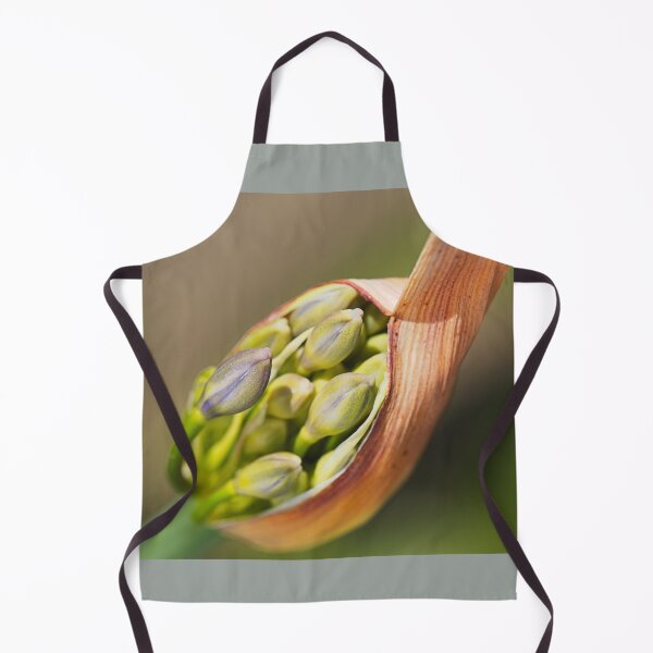 Item preview, Agapanthus Bud Pods designed and sold by Joy Watson - Natural Light Photography .