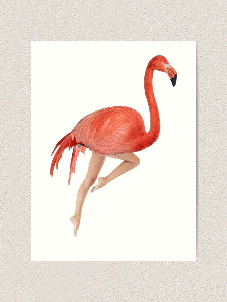 Flamingo with legs. Enough said.