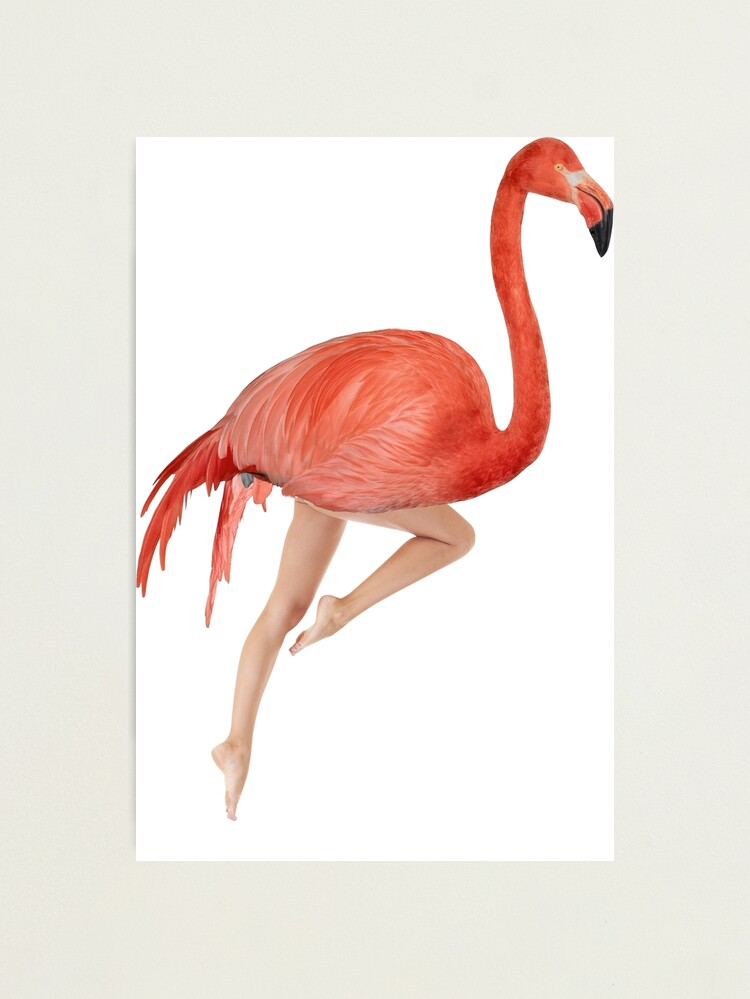 絵画 Picture Touched Flamingo Meeting 120x90 Picture Touched Flamingo Meeting 90x120cm - KARE Design