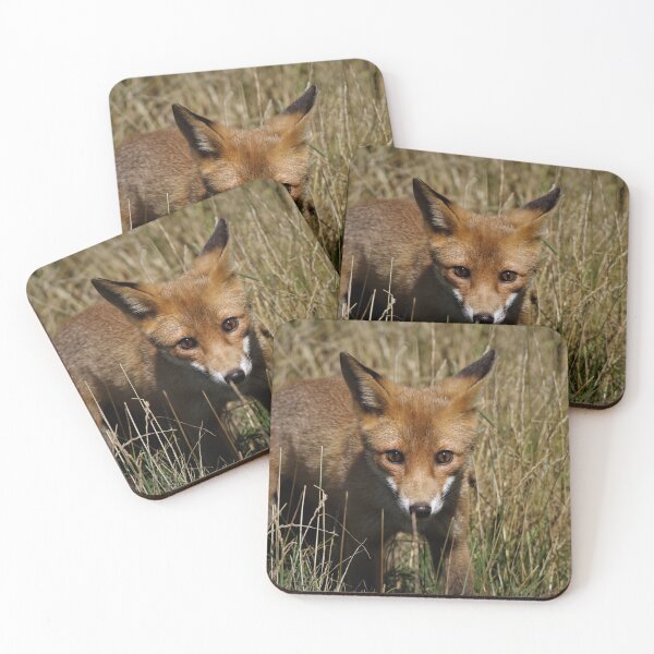 Item preview, Ashdown Forest fox. designed and sold by Christian Moss.