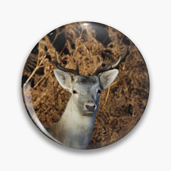 Item preview, Fallow Buck designed and sold by Christian Moss.