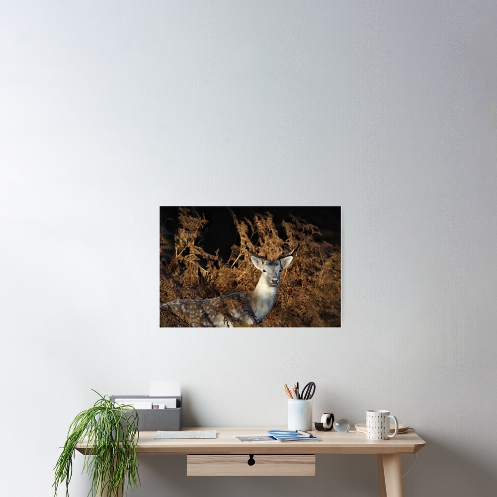 Item preview, Poster designed and sold by Chrismoss.