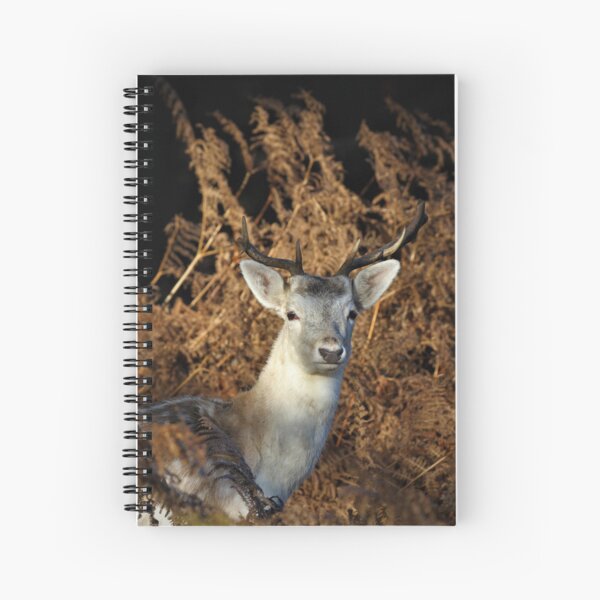 Item preview, Fallow Buck designed and sold by Christian Moss.