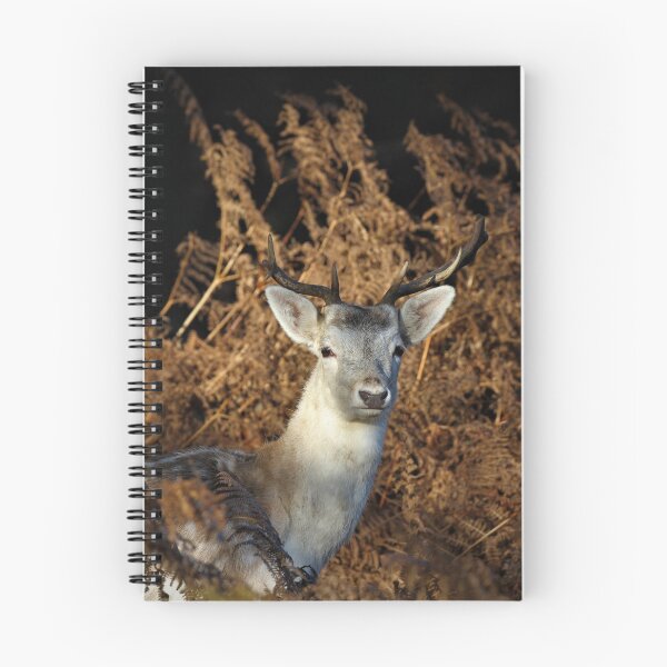 Item preview, Fallow Buck designed and sold by Christian Moss.