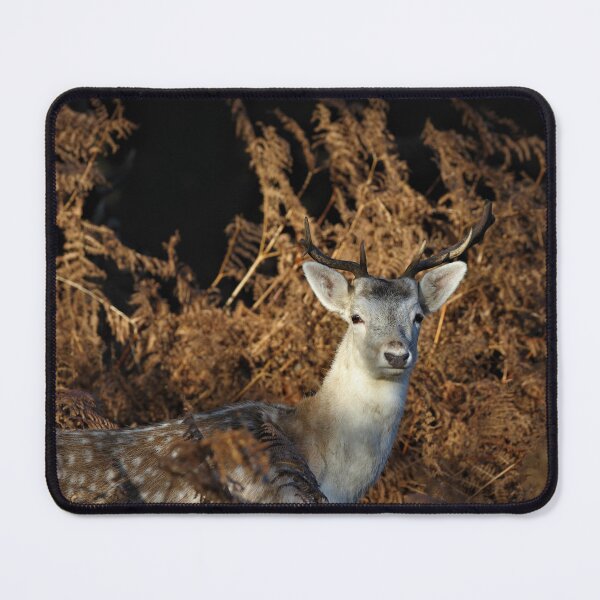 Item preview, Fallow Buck designed and sold by Christian Moss.
