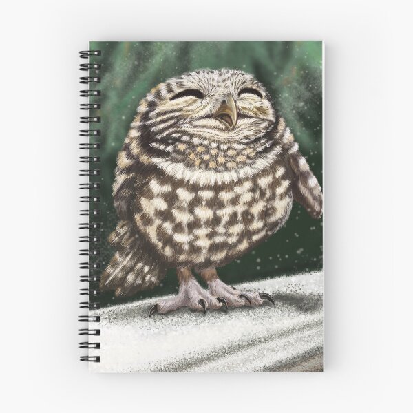 Item preview, owl cuddling designed and sold by elerascon.
