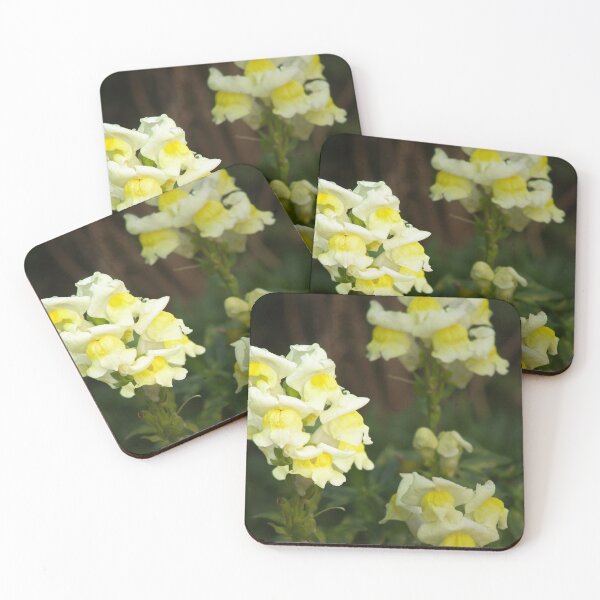 Item preview, white and yellow snapdragons designed and sold by Francespoppy.
