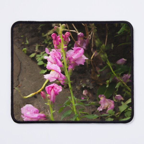 Item preview, pink flowers designed and sold by Francespoppy.