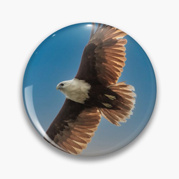 Item preview, Brahminy Kite soaring above designed and sold by Peter Doré.