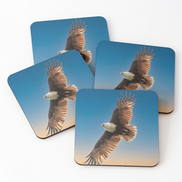 Item preview, Brahminy Kite soaring above designed and sold by Peter Doré.