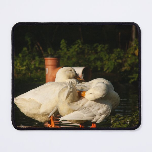 Item preview, white ducks designed and sold by Francespoppy.