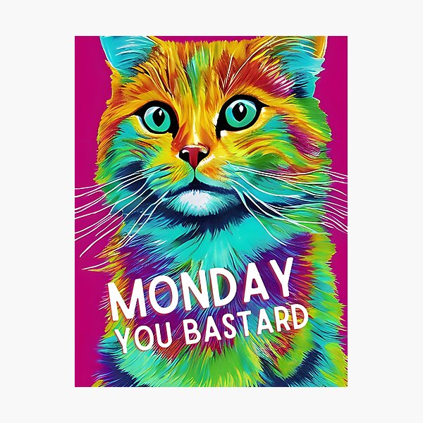 Monday you bastard - gift ideas for neighbors at christmas Photographic Print