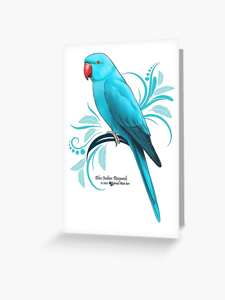 Blue Indian Ringneck Parrot