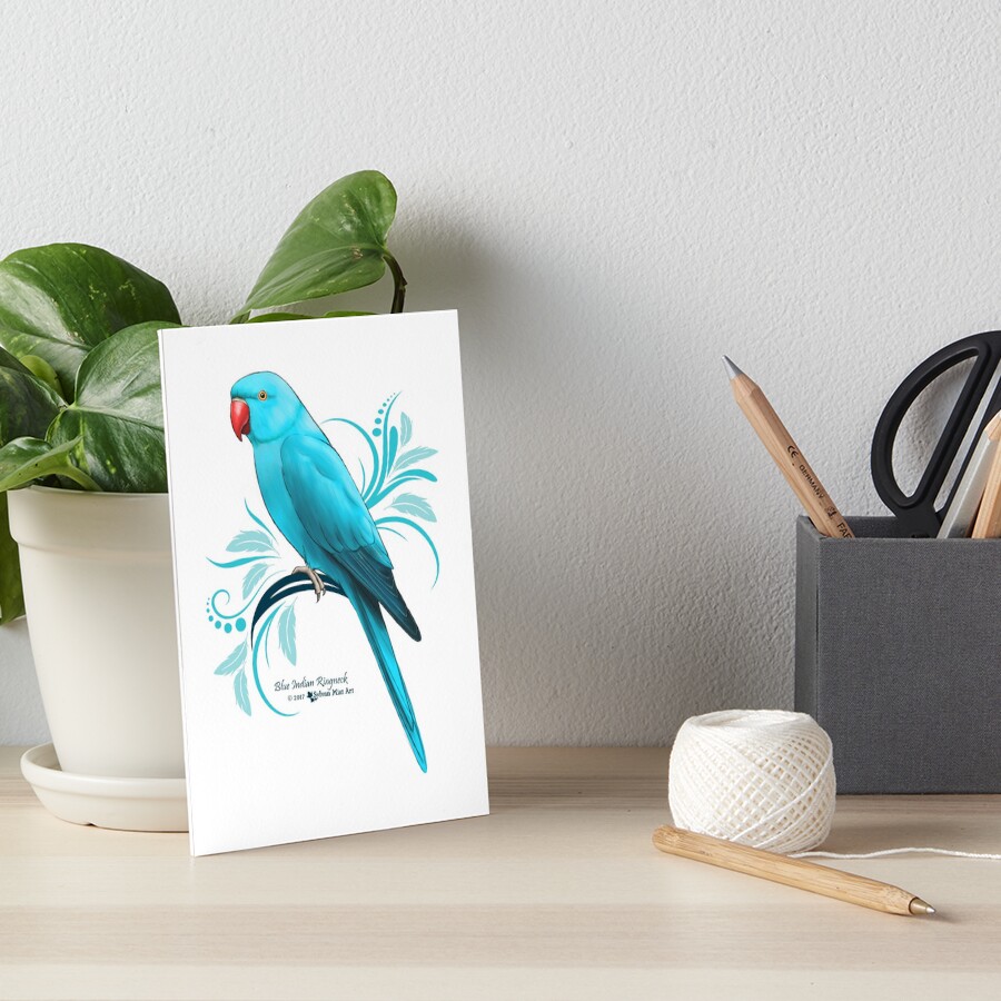 "Blue Indian Ringneck Parrot" Art Board Print by sylvanmist | Redbubble