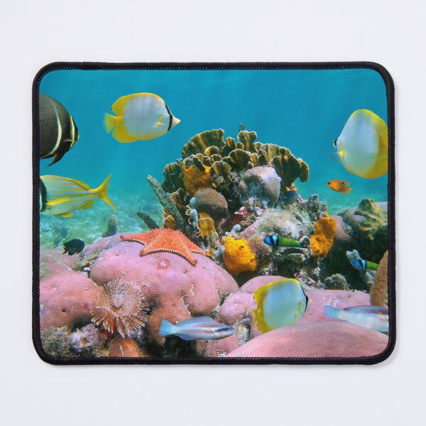 Item preview, Coral reef underwater sea with tropical fish designed and sold by Seaphotoart.