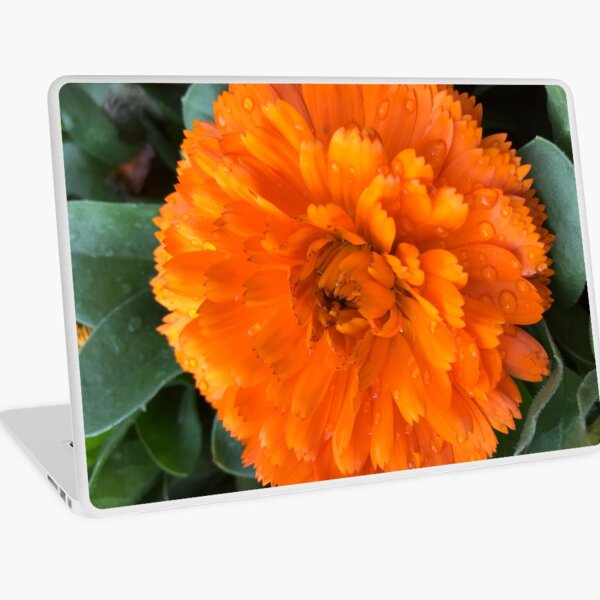 Macbook Air 13" (2015)