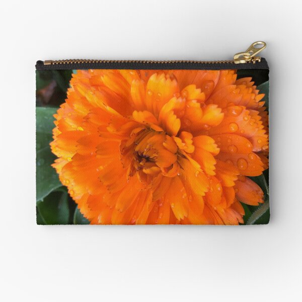 Zipper Pouch