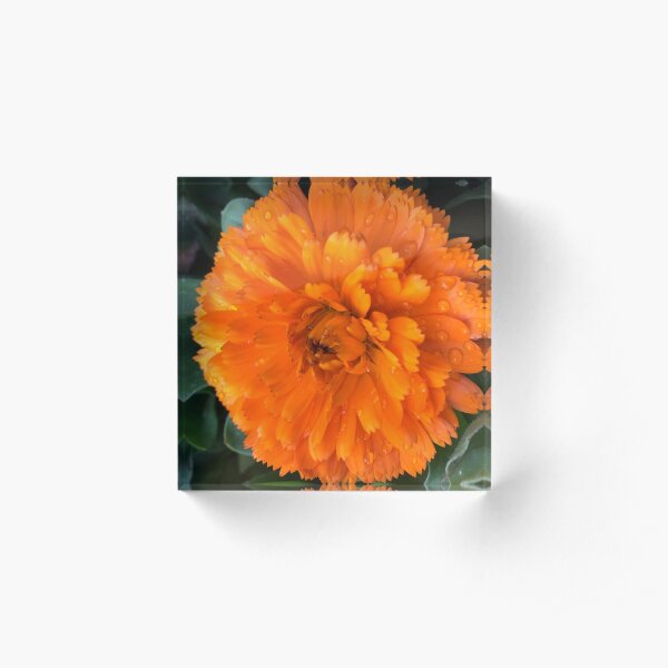 Acrylic Block