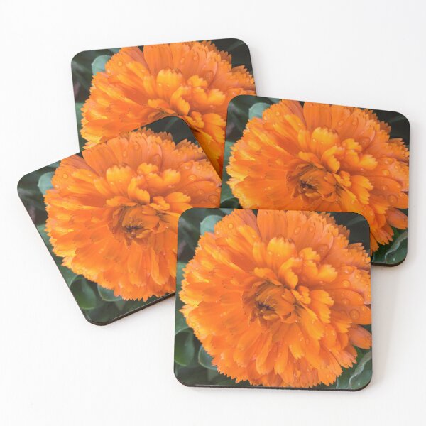 Coasters