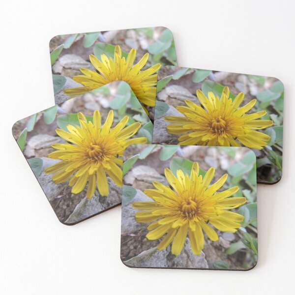 Item preview, Spring Dandelion designed and sold by Stacey Wells.