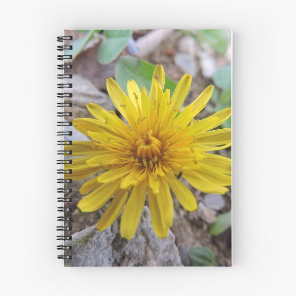 Item preview, Spring Dandelion designed and sold by Stacey Wells.