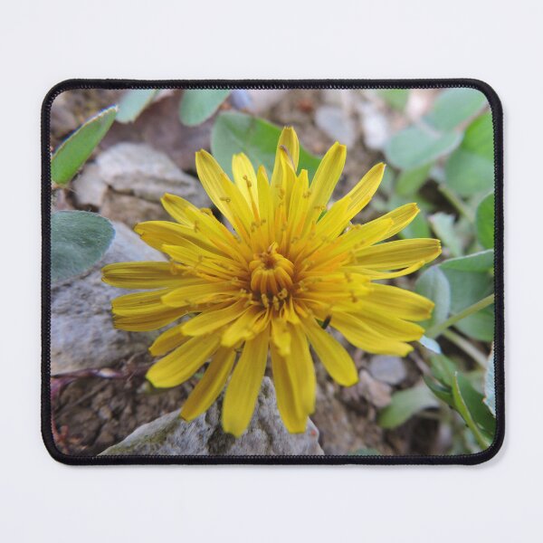 Item preview, Spring Dandelion designed and sold by Stacey Wells.