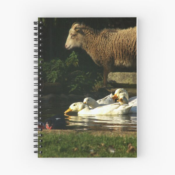 Item preview, white ducks and sheep designed and sold by Francespoppy.