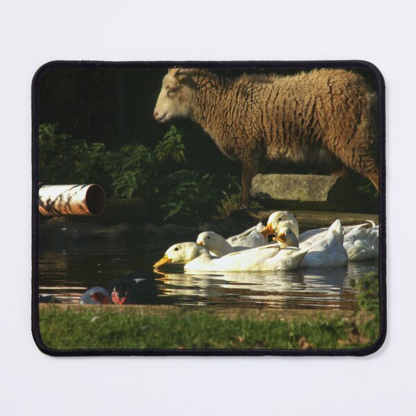 Item preview, white ducks and sheep designed and sold by Francespoppy.