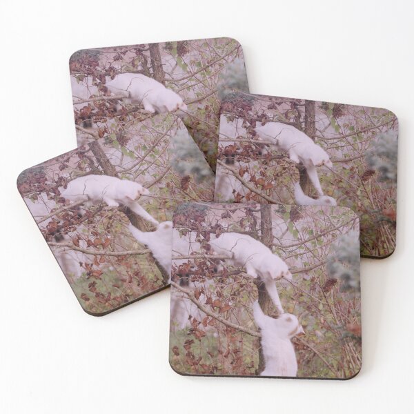 Item preview, Cat fight in the tree designed and sold by Gourmetkater.