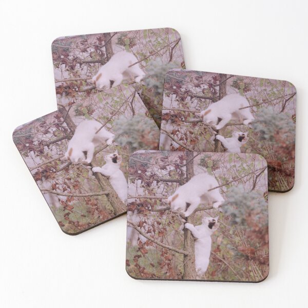 Item preview, Cat fight in the tree 2 designed and sold by Gourmetkater.