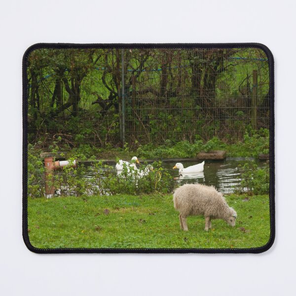 Item preview, sheep by a pond designed and sold by Francespoppy.