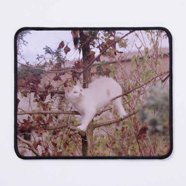 Item preview, Cat Jonny in the tree designed and sold by Gourmetkater.