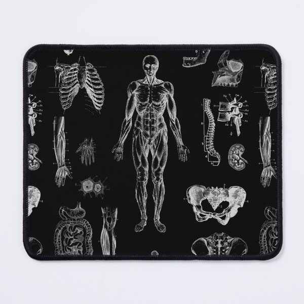 Item preview, Vintage human anatomy  designed and sold by Preslava Genova.