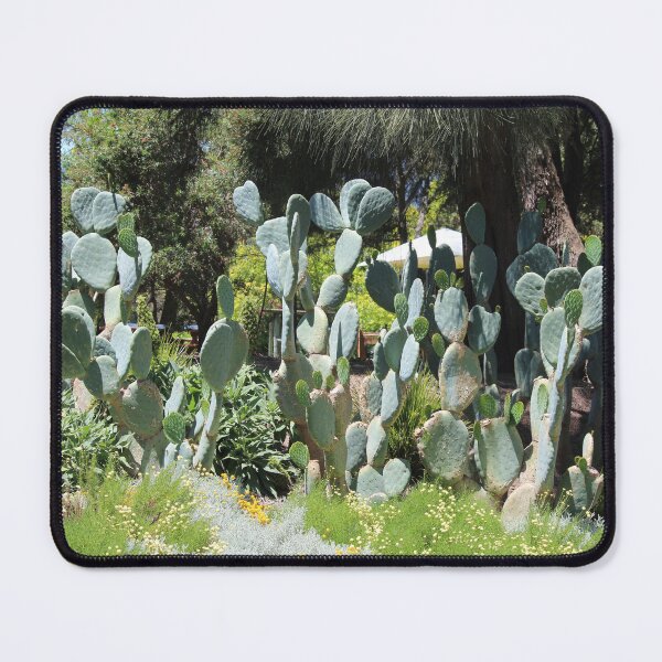 Item preview, Crazy Cactii designed and sold by KazM.