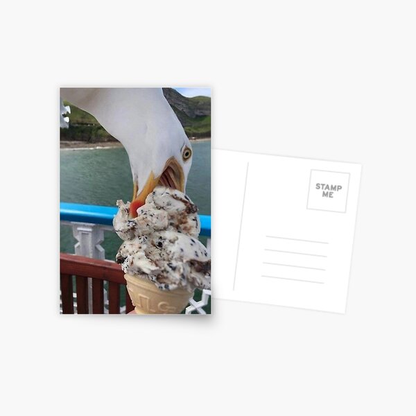 Item preview, gull designed and sold by Molchyn.
