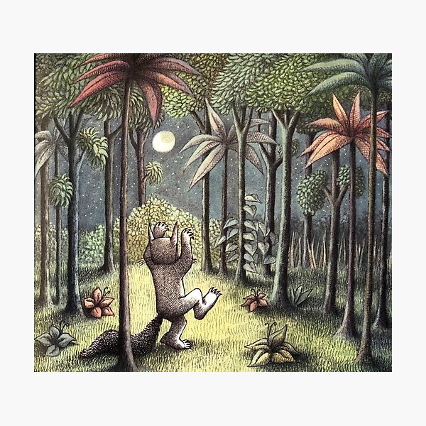 Where The Wild Things Are Photographic Print