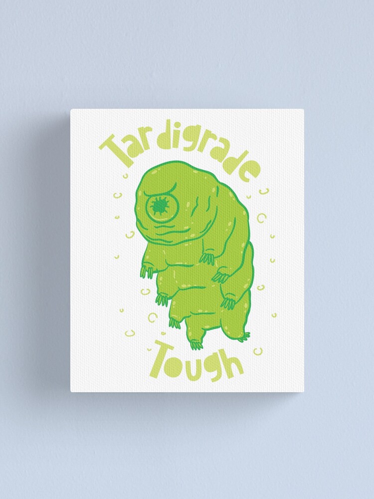 Toughest animal in the world tardigrade nature's best tank Toughest animal in the world tardigrade nature's best tank